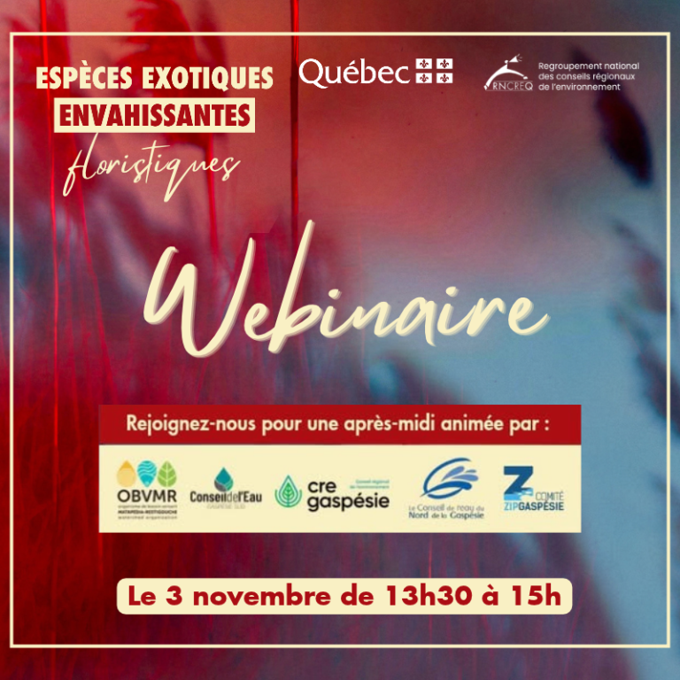 Le 3 novembre de 13h30 à 15h (504 x 504 px)